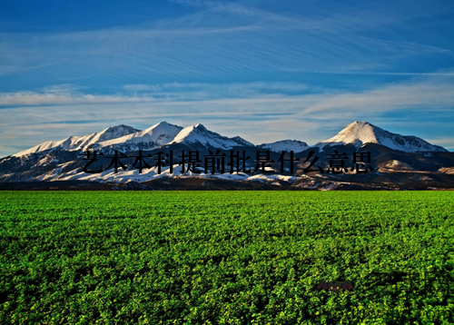 艺术本科提前批是什么意思