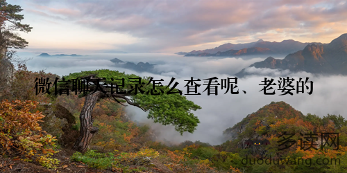 微信聊天记录怎么查看呢、老婆的