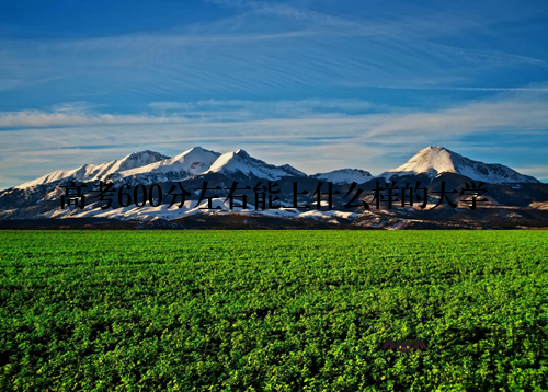 高考600分左右能上什么样的大学