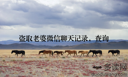 盗取老婆微信聊天记录，查询