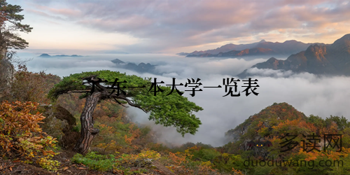 广东一本大学一览表