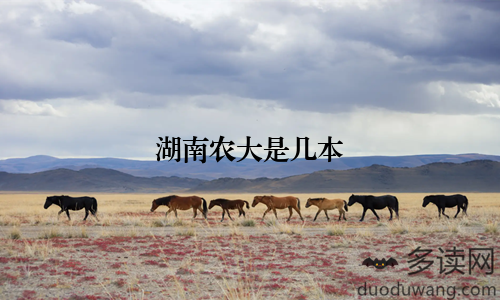 湖南农大是几本