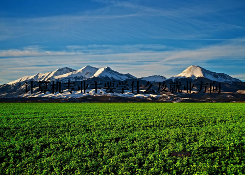 计算机专业主要学什么及就业方向