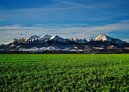 老婆出轨了聊天记录怎么查出，查询