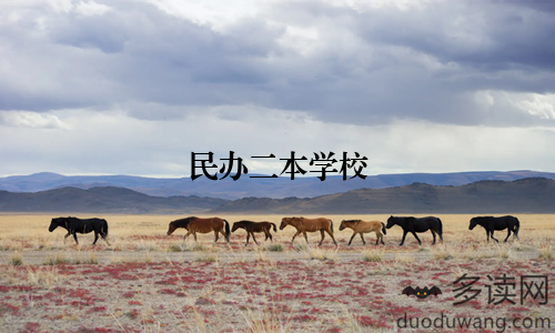 民办二本学校