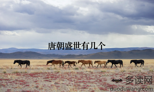 唐朝盛世有几个