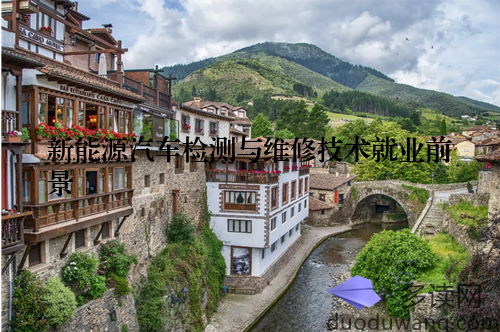 新能源汽车检测与维修技术就业前景