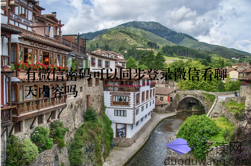有微信密码可以同步登录微信看聊天内容吗