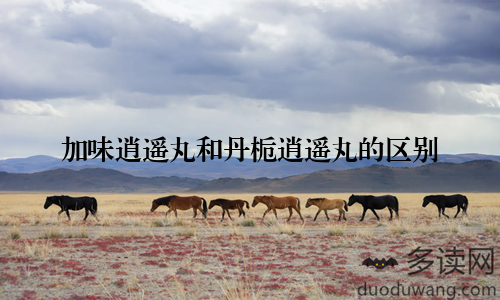 加味逍遥丸和丹栀逍遥丸的区别