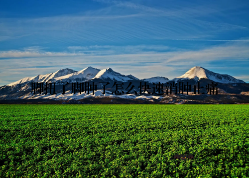 脚扭了脚肿了怎么快速消肿止痛
