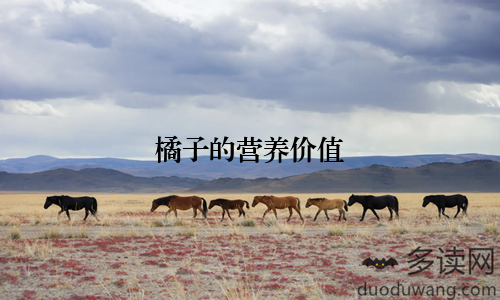 橘子的营养价值