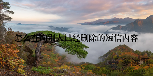 怎么查询别人已经删除的短信内容