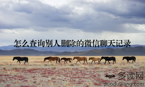 怎么查询别人删除的微信聊天记录