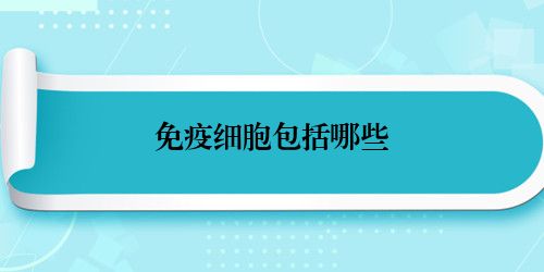 免疫细胞包括哪些