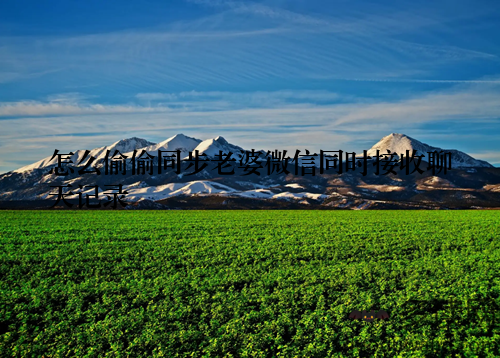 怎么偷偷同步老婆微信同时接收聊天记录