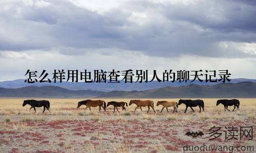 怎么样用电脑查看别人的聊天记录