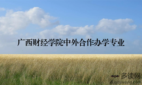 广西财经学院中外合作办学专业