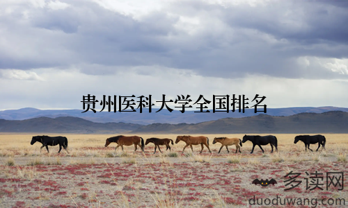 贵州医科大学全国排名