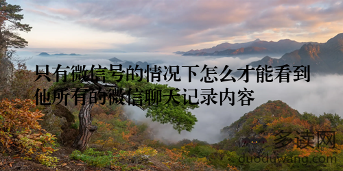 只有微信号的情况下怎么才能看到他所有的微信聊天记录内容