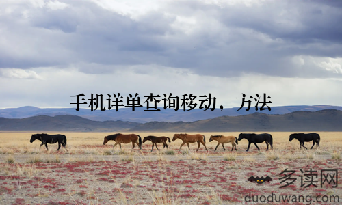 手机详单查询移动，方法