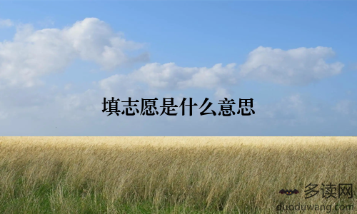 填志愿是什么意思