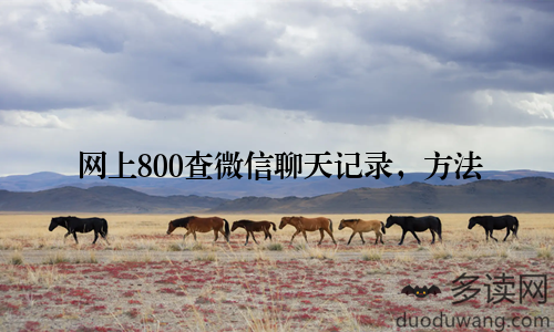 网上800查微信聊天记录，方法