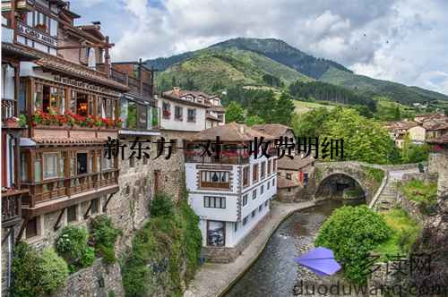 新东方一对一收费明细