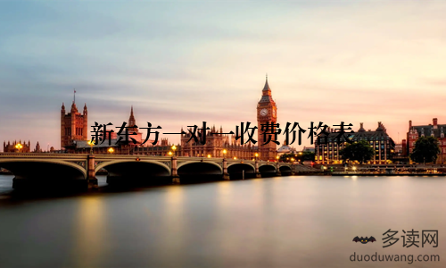 新东方一对一收费价格表