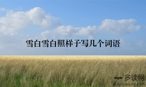雪白雪白照样子写几个词语