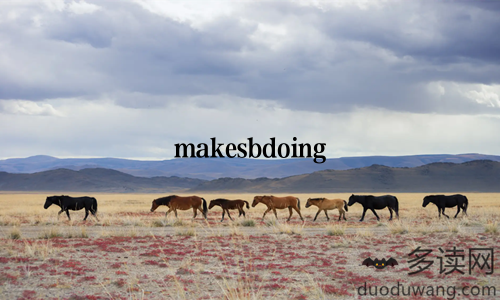 makesbdoing