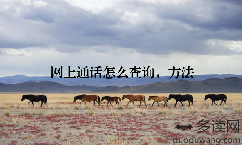 网上通话怎么查询，方法