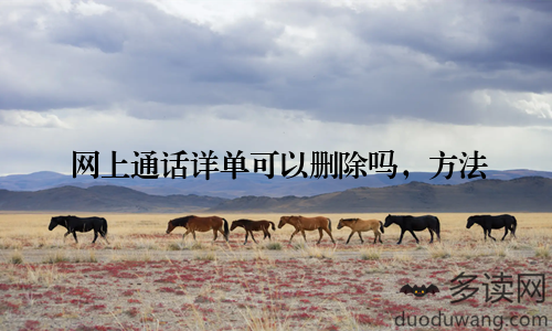 网上通话详单可以删除吗，方法