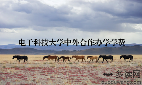电子科技大学中外合作办学学费