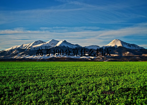 高考490分算什么档次