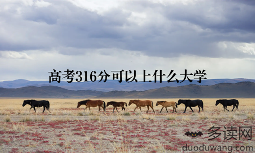 高考316分可以上什么大学