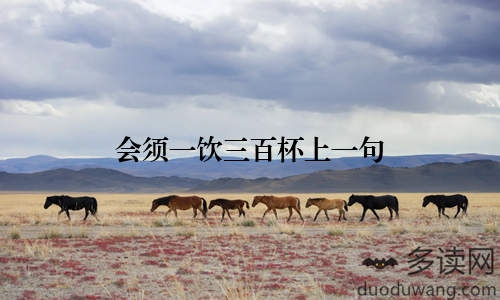 会须一饮三百杯上一句
