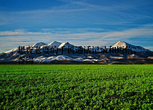 想查老婆的手机通话记录和短信,查询