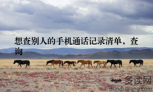 想查别人的手机通话记录清单，查询