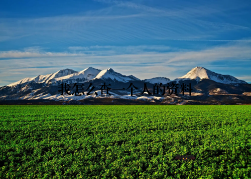 我怎么查一个人的资料