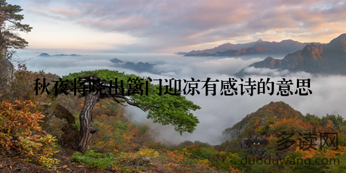秋夜将晓出篱门迎凉有感诗的意思