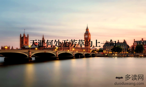 天涯何处无芳草的上一句