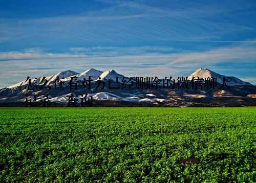 怎么查看对方已经删除的微信聊天记录,查询
