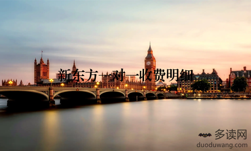 新东方一对一收费明细