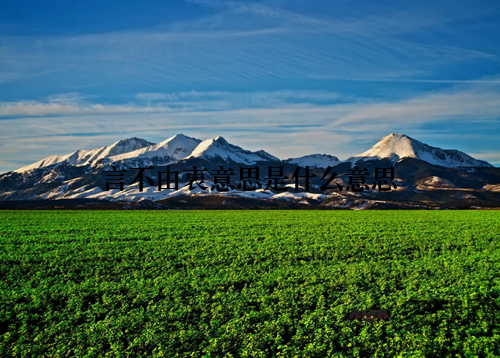 言不由衷意思是什么意思