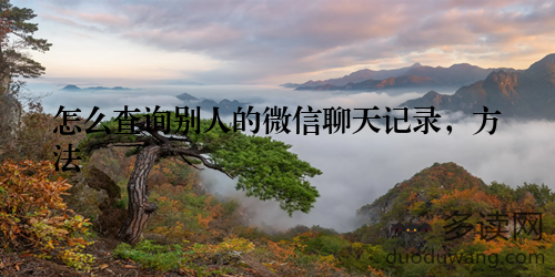 怎么查询别人的微信聊天记录，方法