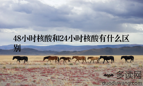 48小时核酸和24小时核酸有什么区别