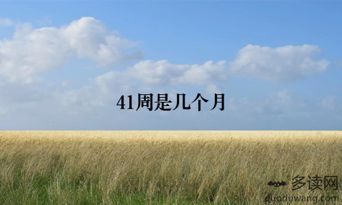 41周是几个月