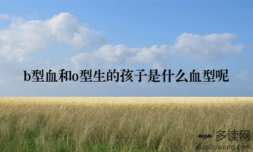 b型血和o型生的孩子是什么血型呢