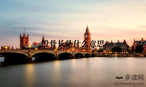 股骨长是什么意思