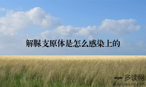 解脲支原体是怎么感染上的